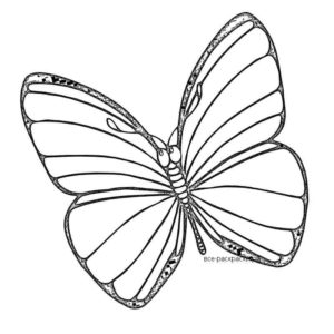 Великая бабочка