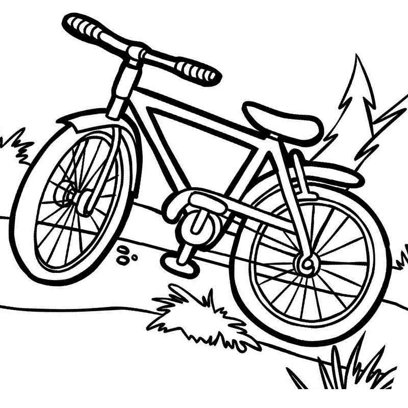 велосипед транспорт
