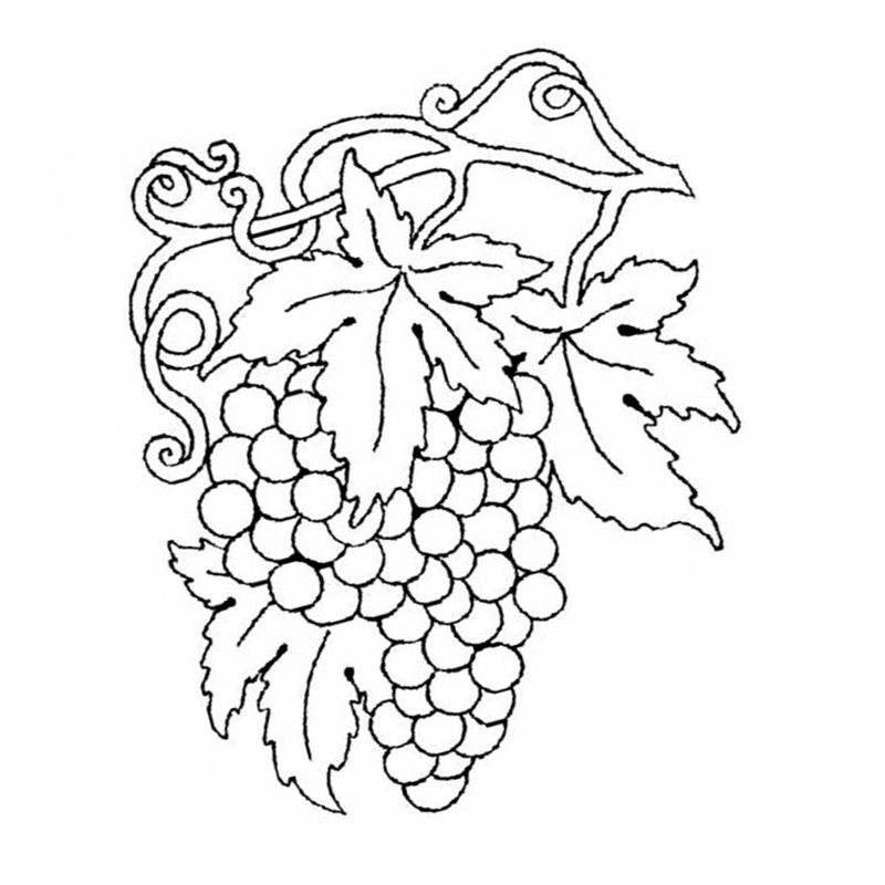 виноградная лоза