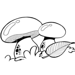 вкусные грибы