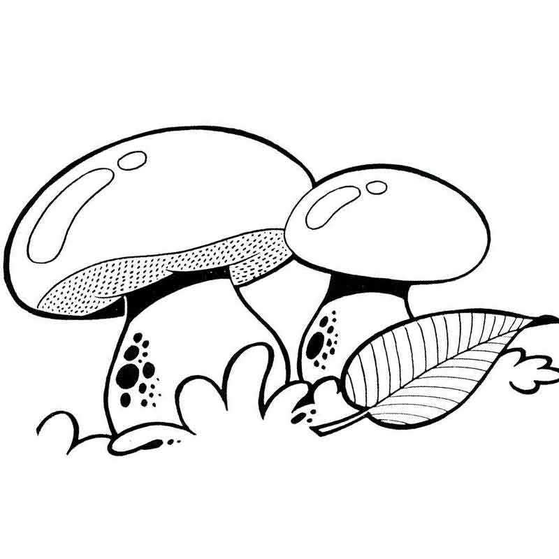 Белый гриб рисунок для детей