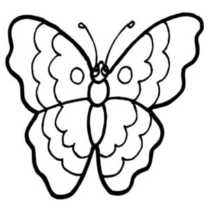 Волнистая бабочка