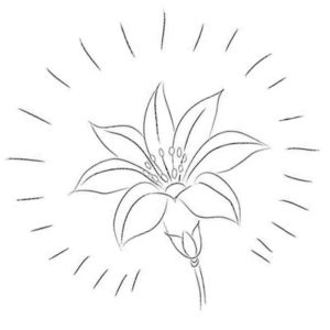 волшебный цветик семицветик