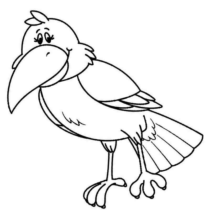 Рисунок ворона для детей карандашом 52 фото