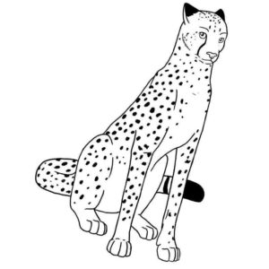 взгляд кошки гепарда
