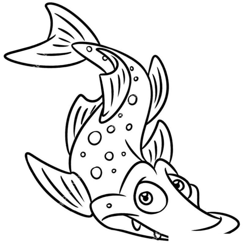 «Щука рыба» скачать раскраски