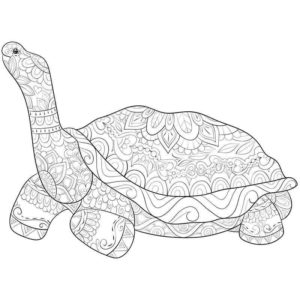 Взрослая черепаха антистресс
