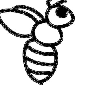 Взрослая пчела