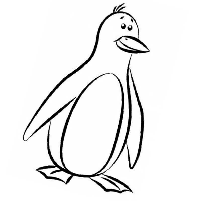 взрослый пингвин