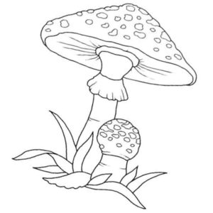 ядовитые грибы-мухоморы