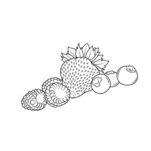 ягоды малина клубника и смародина