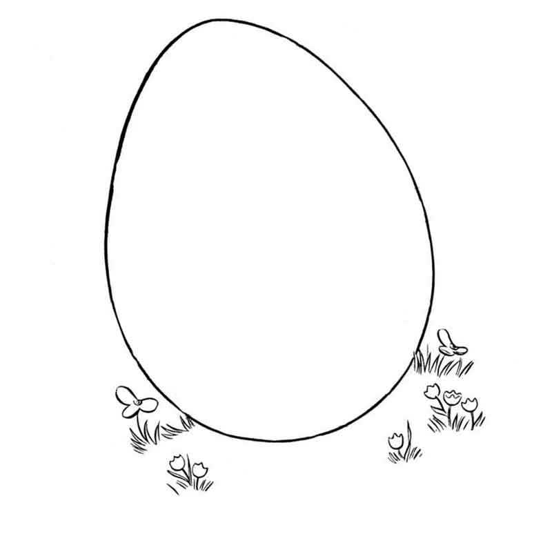 яйцо на земле