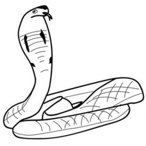 задумчивая змея