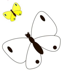 Желтенькая бабочка