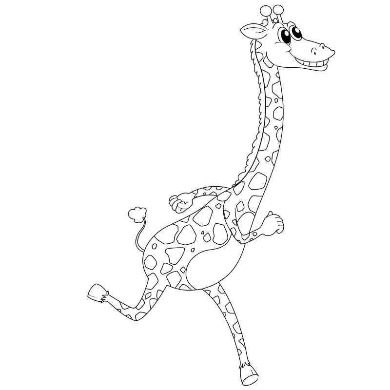 Жираф бежит