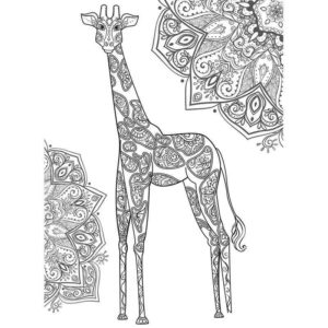Жираф девочка