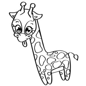 Жираф показывает язычок