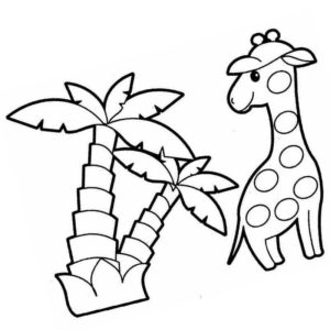 жираф возле пальмы