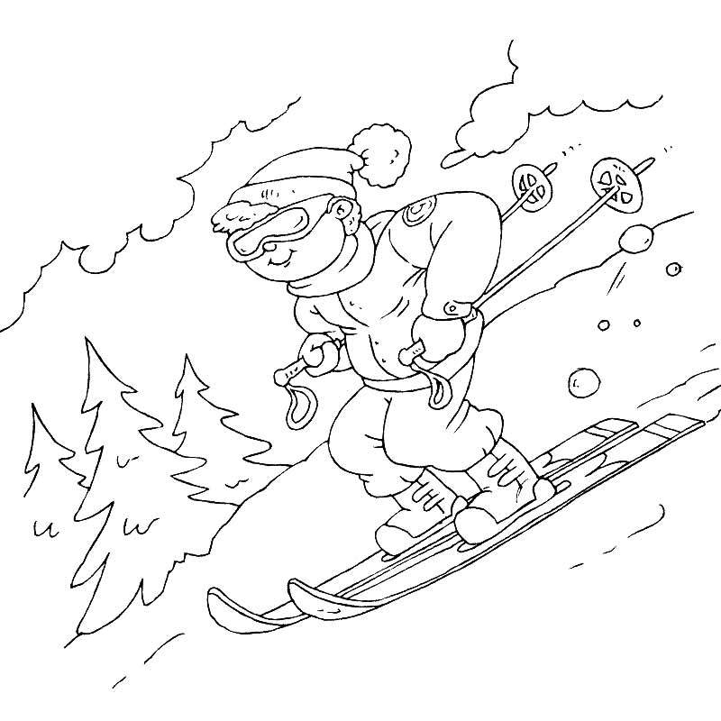 Зимний вид спорта на лыжах
