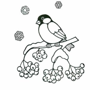 зимующая птица снегирь сидит на рябине