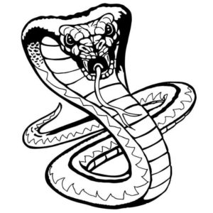злая змея
