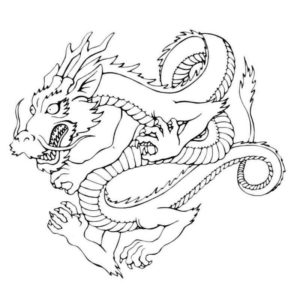 Злок китайский дракон