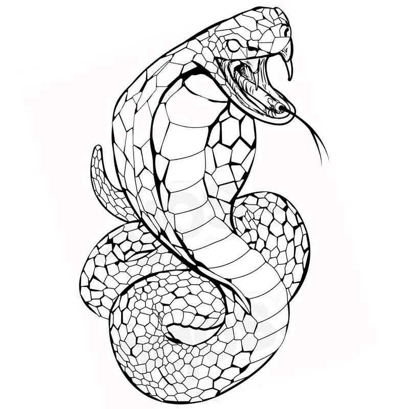 змея из легенд
