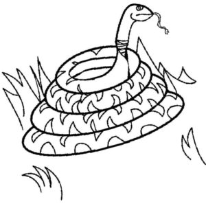змея на природе