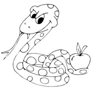 змея смотрит на яблоко