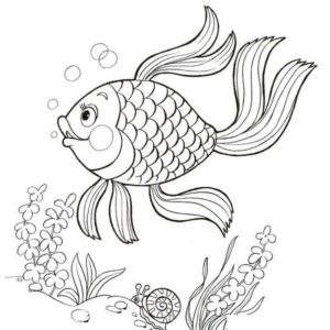 Золотая рыбка и водросли