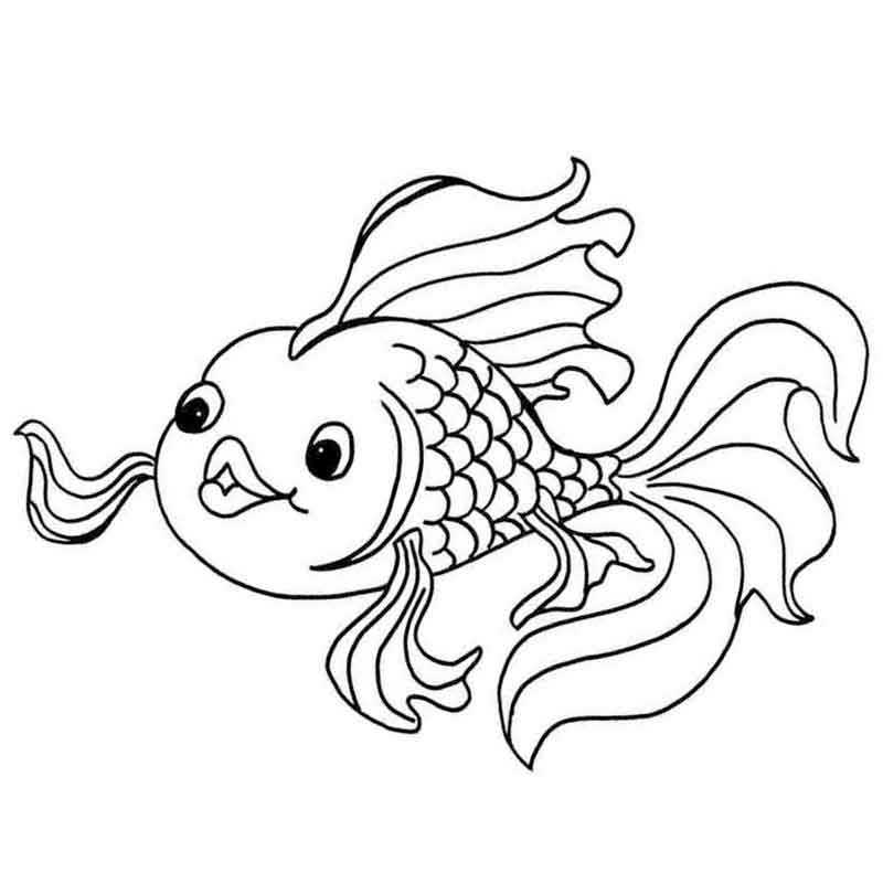 Золотая рыбка раскраска для детей распечатать бесплатно | Раскраски, Золотая рыбка, Милый рисунок