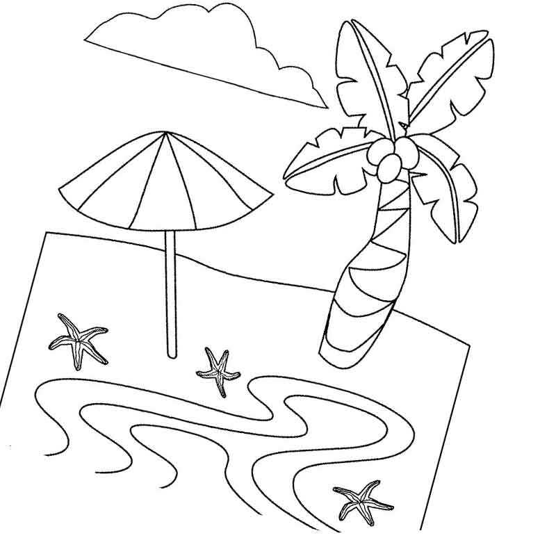 зонтик возле пальмы