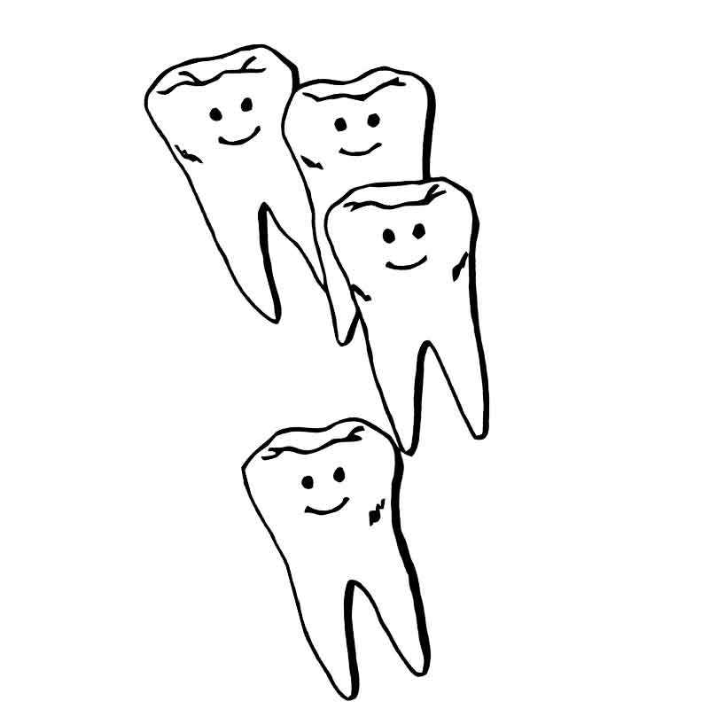 зубной ряд